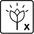 Mois de floraison: 9 – 10