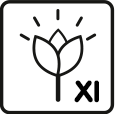 Mois de floraison: 11 – 12