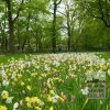 Kits 'Prima Plouay' © (11183) – Image 4