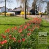 Kits 'Vlieland' © (11195) – Image 3