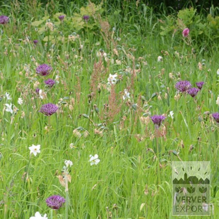 Kits 'Flora Nature' © (11317) – Image 5