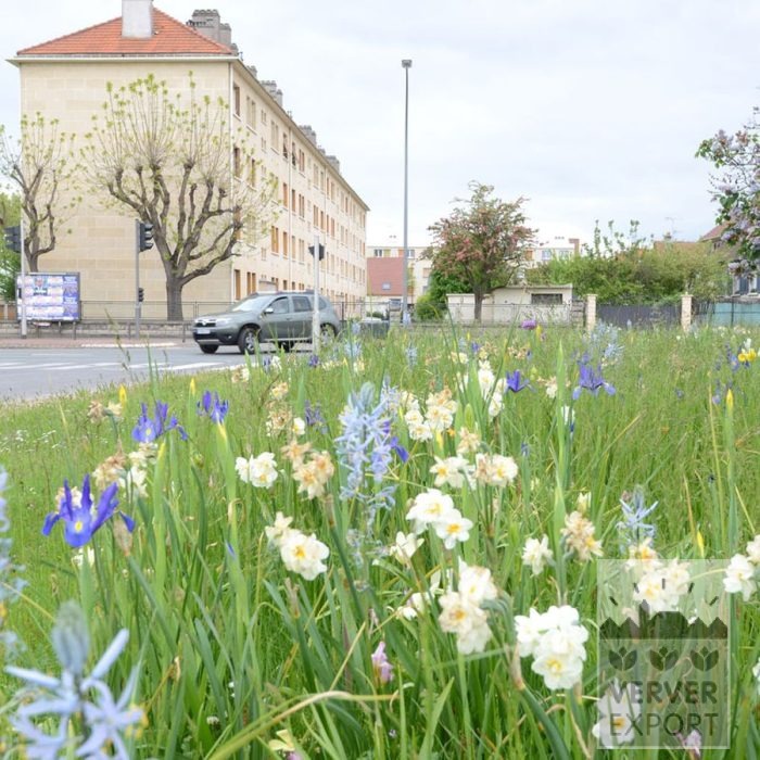 Kits 'Flora Livry-Gargan' © (11381) – Image 3