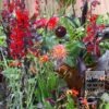 Trams d'Eté Verver 'Rouge Rumble' © / 5 m² (29302) – Image 3