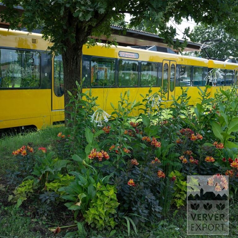 Trams d'Eté Verver 'Dancer in the Dark' © / 7 m² (29376) – Image 3