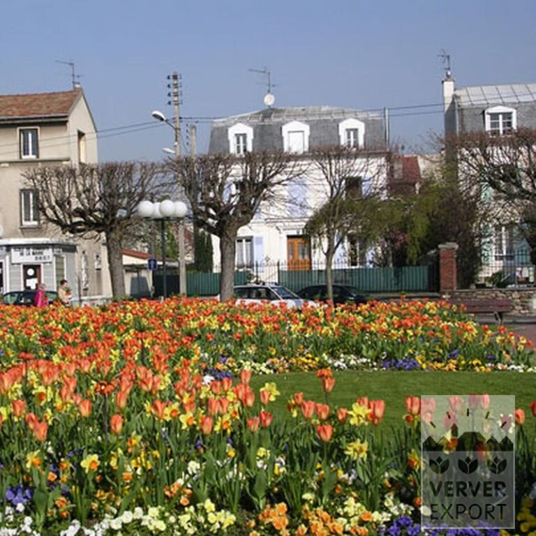 Mélanges Verver 'Ville de Riom' © (11154) – Image 2