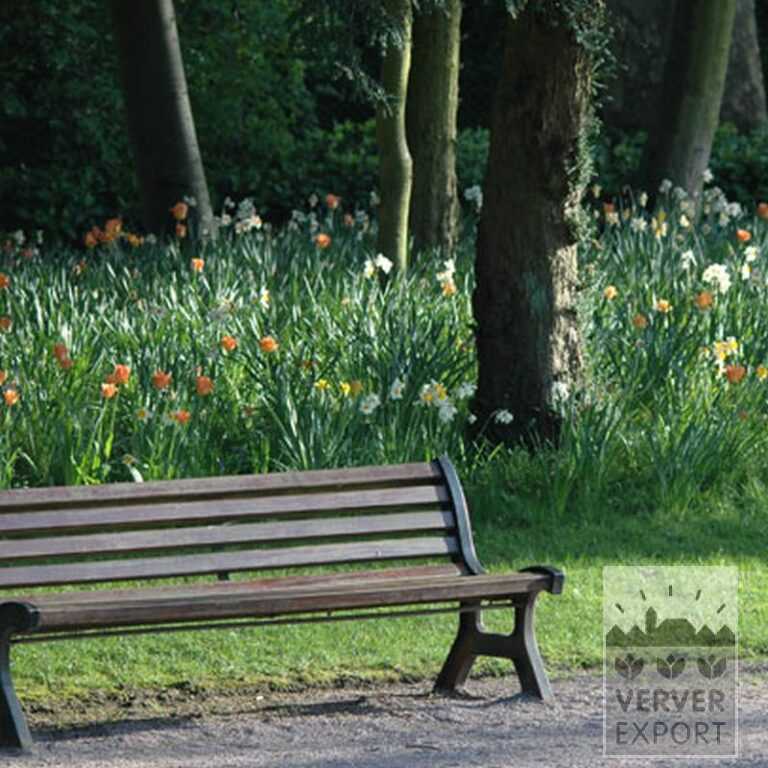 Tulipes 'Orange Emperor' (12050) – Image 5