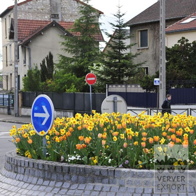 Mélanges Verver 'Ville de Riom' © (11154) – Image 9