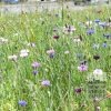 Kits 'Nature Evolution' © (11592) – Image 3