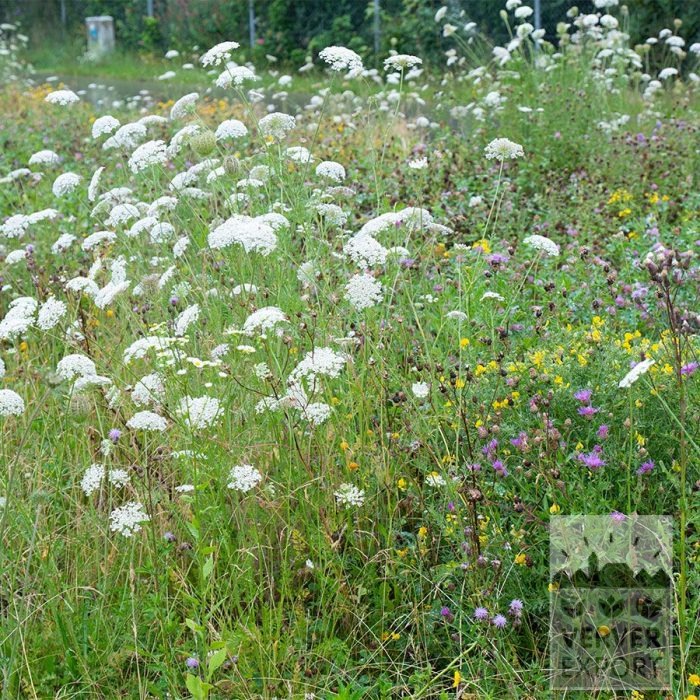 Kits 'Nature Evolution' © (11592) – Image 4