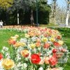 Kits 'Prima Ile Tropicale' © (11922)